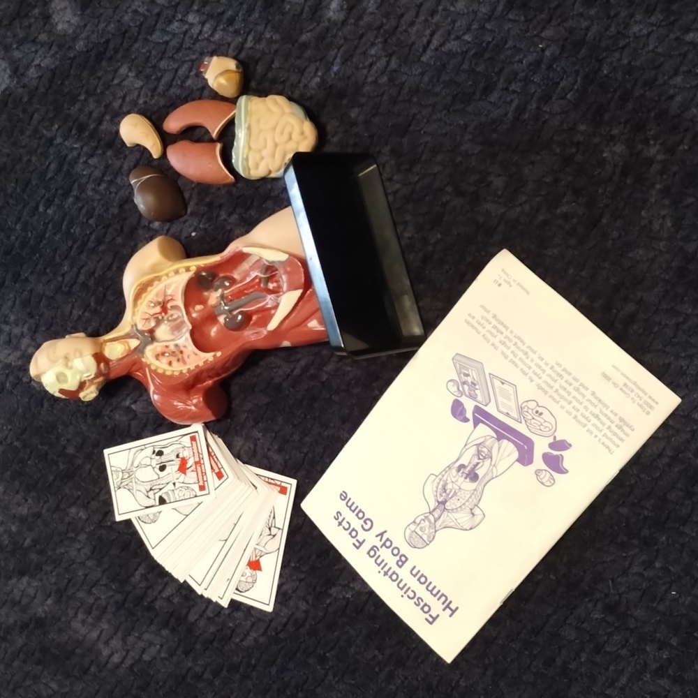 Toys To Grow On Fascinating Facts Human Body Game